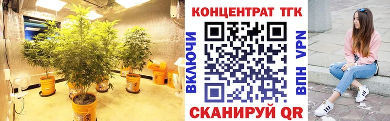 Дистиллят ТГК THC oil  Купить где  Беслан 