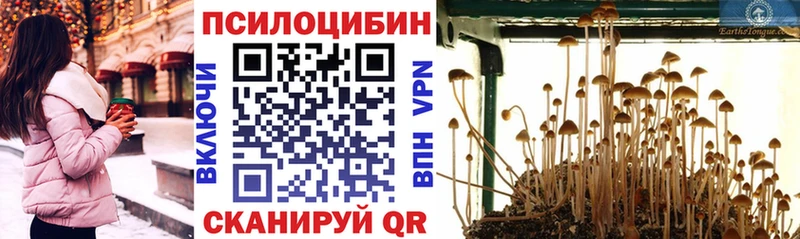 Псилоцибиновые грибы мицелий  Купить где  Беслан 